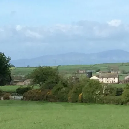 District Western 2-bed Pet Friendly *